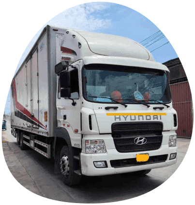 camion de transporte